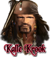 Mixed Martial Arts Fighter - Kalle Krook