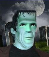 Mixed Martial Arts Fighter - Herman Munster