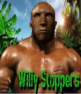 Mixed Martial Arts Fighter - Willy Stoppers