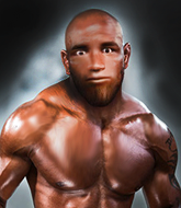 Mixed Martial Arts Fighter - Luivel  Romero