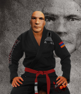 Mixed Martial Arts Fighter - Paul Dravinski