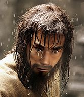 Mixed Martial Arts Fighter - Yue Fei