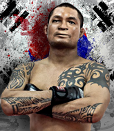 Mixed Martial Arts Fighter - Lee Kagawa