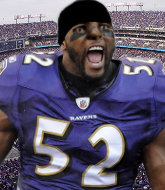 Mixed Martial Arts Fighter - Ray Lewis