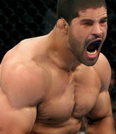 Mixed Martial Arts Fighter - Rogerio Palhares
