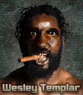 Mixed Martial Arts Fighter - Wesley Templar