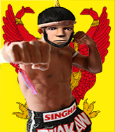 Mixed Martial Arts Fighter - Kru Sing