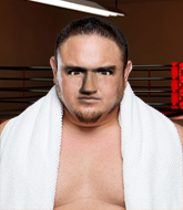 Mixed Martial Arts Fighter - Samoa Joe