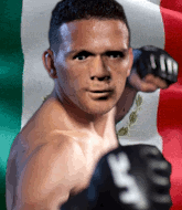 Mixed Martial Arts Fighter - Jose Castellanos