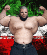 Mixed Martial Arts Fighter - Iranian Hulk