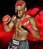 Mixed Martial Arts Fighter - Vincent Duboulay