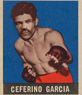 Mixed Martial Arts Fighter - Ceferino Garcia