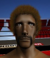 Mixed Martial Arts Fighter - Wrestling Guy