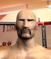 Mixed Martial Arts Fighter - Sir Evereld