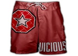 VICIOUS FIGHT GEAR