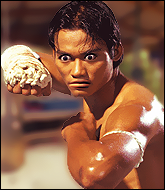 Mixed Martial Arts Fighter - Anwar Rinda