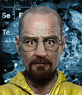 Mixed Martial Arts Fighter - Walter White
