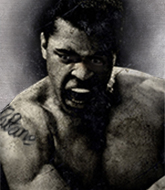 Mixed Martial Arts Fighter - Hulk Butane