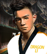 Mixed Martial Arts Fighter - Dragon Li Chai