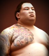Mixed Martial Arts Fighter - Mitsugu Takeishi