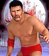 Mixed Martial Arts Fighter - Ikuhisa Wang