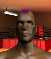 Mixed Martial Arts Fighter - Earn A Name