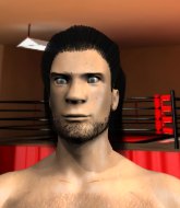 Mixed Martial Arts Fighter - Frank Castle