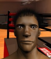 Mixed Martial Arts Fighter - Finn Leinnon