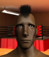 Mixed Martial Arts Fighter - Zackary Lockheart