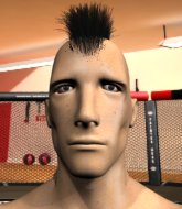 Mixed Martial Arts Fighter - Gee Eye Joe