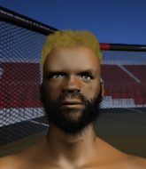 Mixed Martial Arts Fighter - Solomon  King