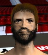 Mixed Martial Arts Fighter - Harry Swotter