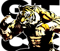 Golden Tiger Combat Club - Mixed Martial Arts Gym, Montreal