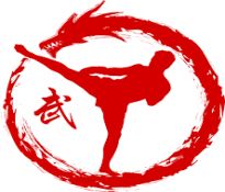 Sanda Wushu Kung Fu Gym - Mixed Martial Arts Gym, Las Vegas